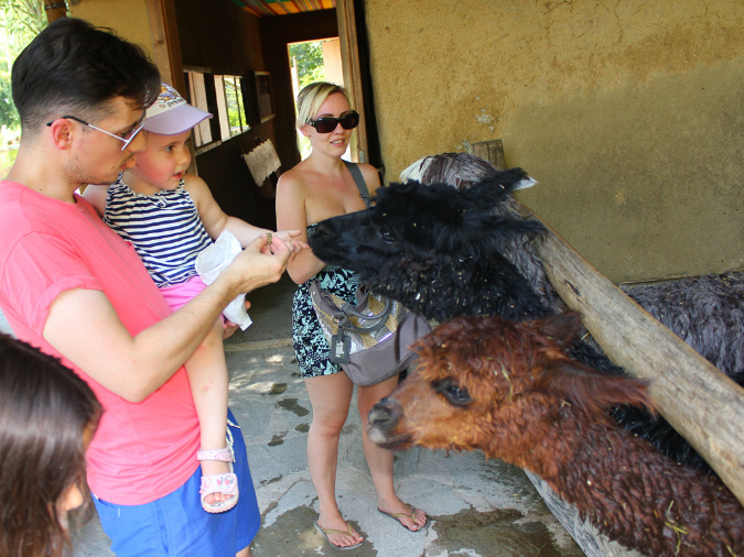2015_aug_salzburg_zoo18