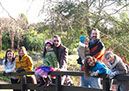 2011_dec_savill_garden_43
