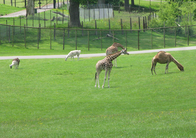 longleat_038