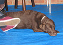 anneli_neil_housewarming_74