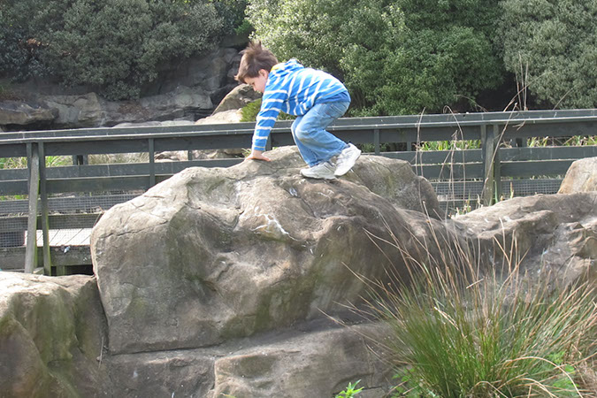 2011_apr_wetland_022