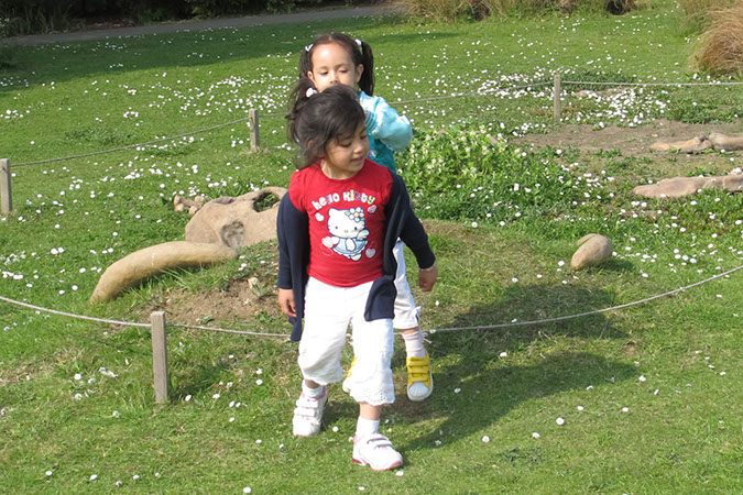 2011_apr_wetland_031