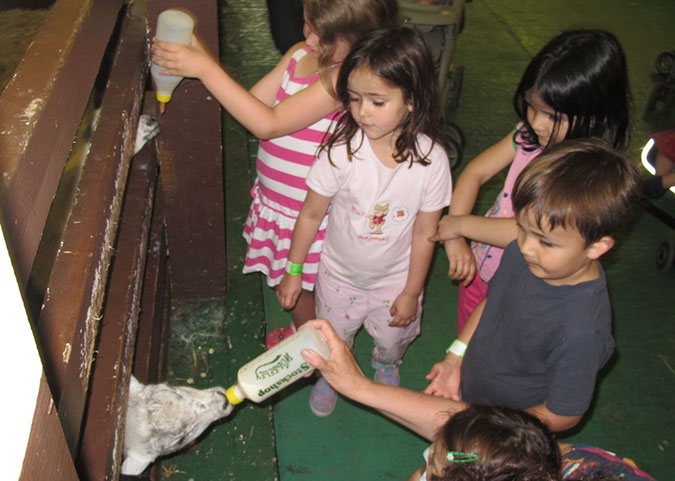 2011_april_woodside_16