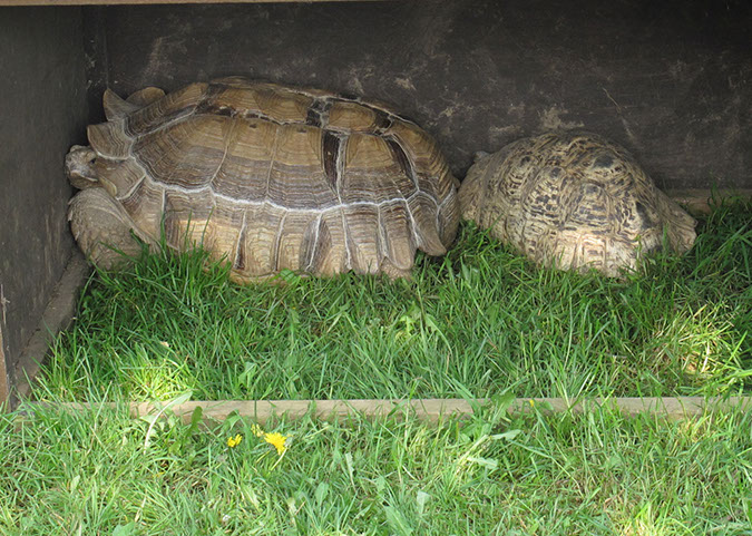 2011_april_woodside_37