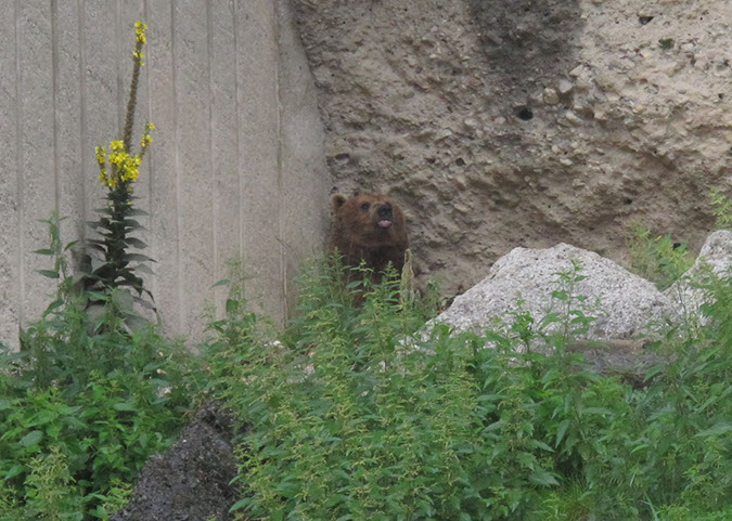 hellbrunn_zoo_21