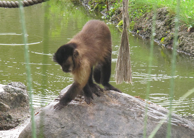 hellbrunn_zoo_27