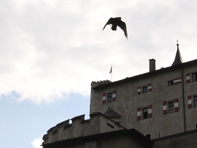 2014_aug_hohenwerfen41