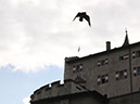 2014_aug_hohenwerfen41