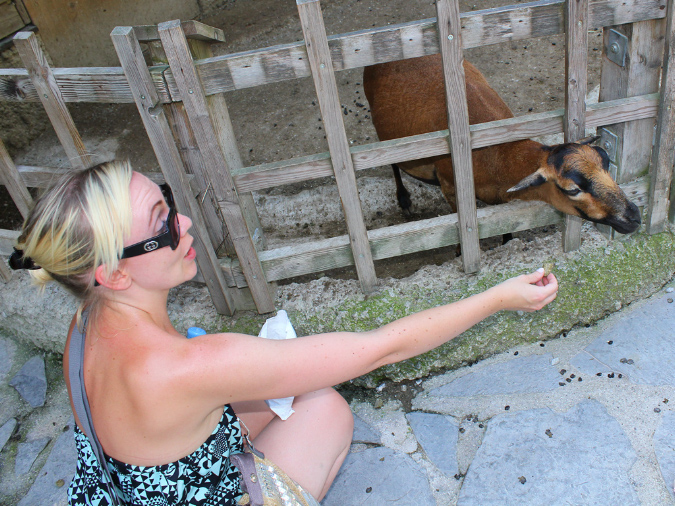 2015_aug_salzburg_zoo22