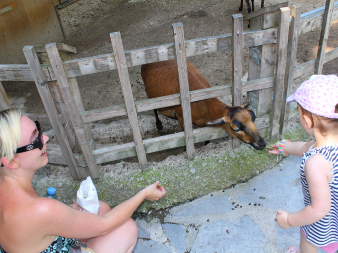 2015_aug_salzburg_zoo23
