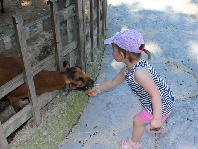 2015_aug_salzburg_zoo24