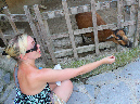 2015_aug_salzburg_zoo22