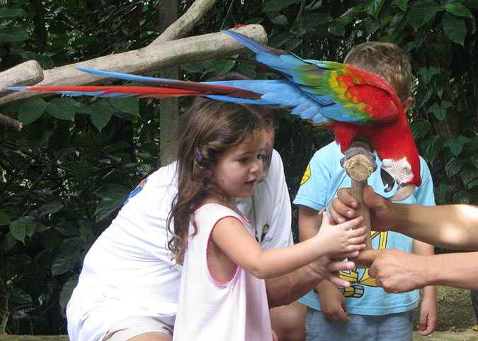 singaporezoo_16