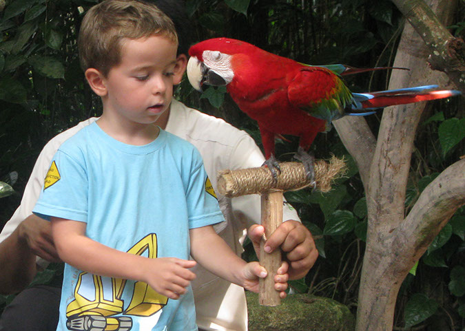 singaporezoo_20