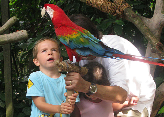 singaporezoo_21