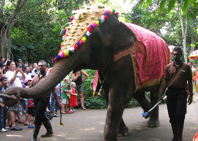 singaporezoo_26