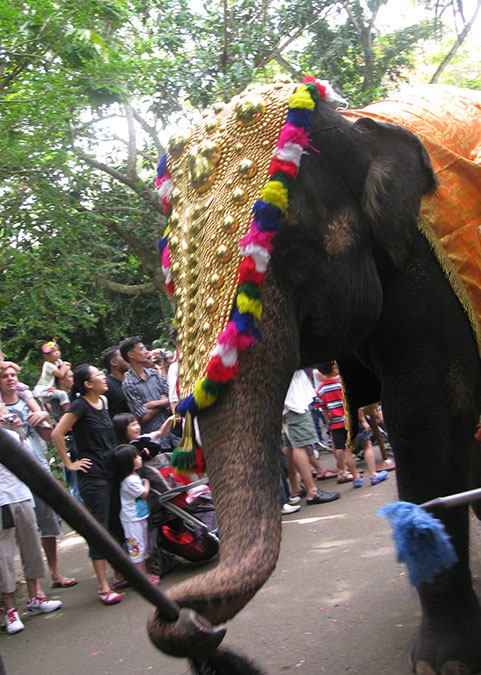 singaporezoo_27