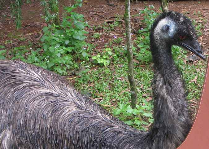 singaporezoo_34