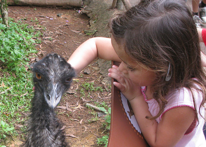 singaporezoo_38