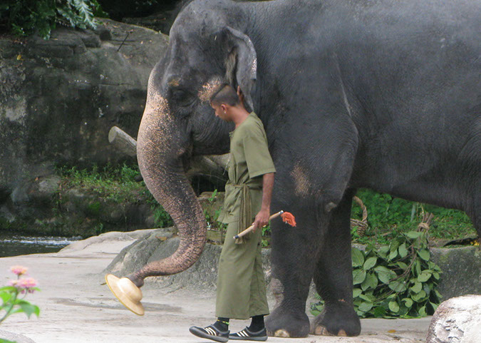 singaporezoo_46