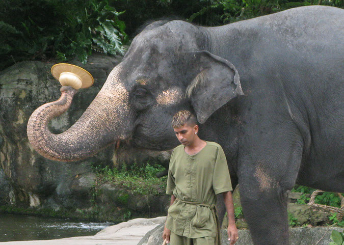 singaporezoo_47