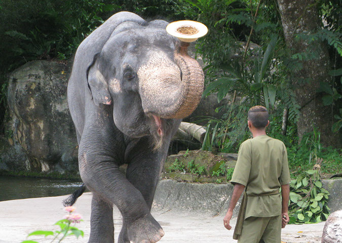 singaporezoo_48