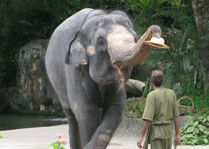 singaporezoo_49