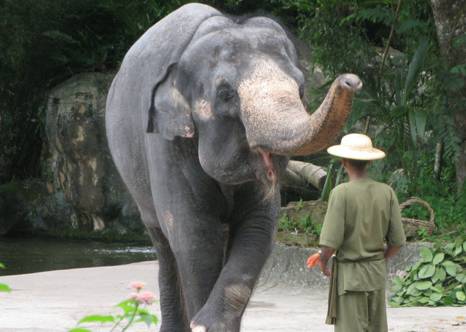 singaporezoo_50