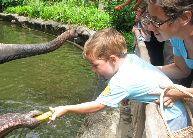 singaporezoo_57
