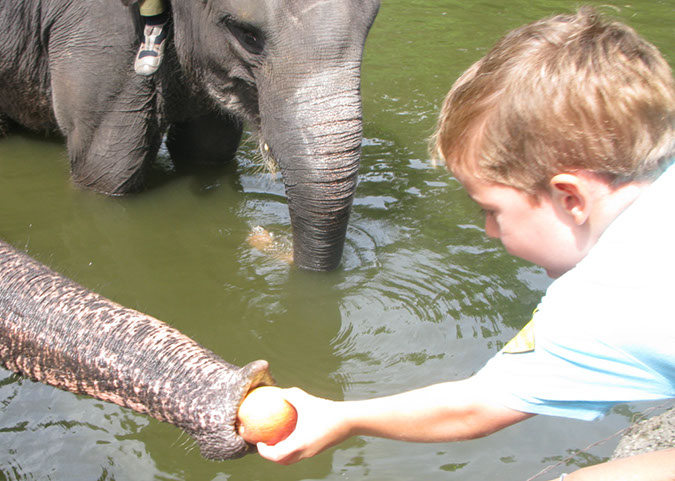 singaporezoo_59