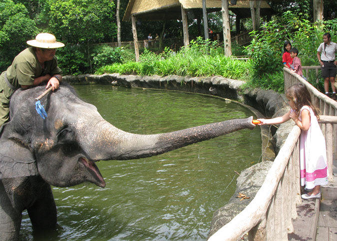 singaporezoo_60