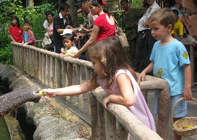 singaporezoo_61
