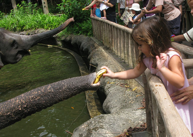 singaporezoo_62