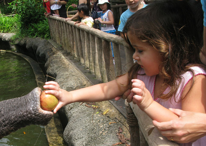 singaporezoo_63