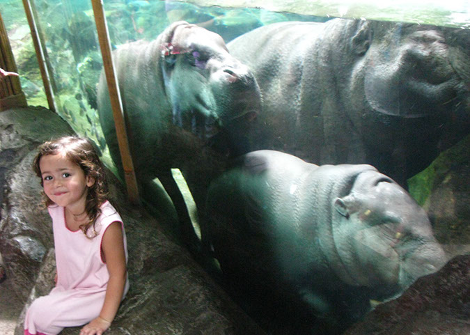singaporezoo_79