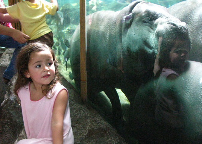 singaporezoo_80