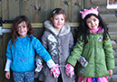 2011_dec_savill_garden_22