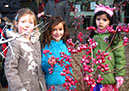 2011_dec_savill_garden_27