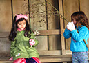 2011_dec_savill_garden_38