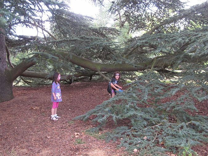 2013_jul_kew_myla44