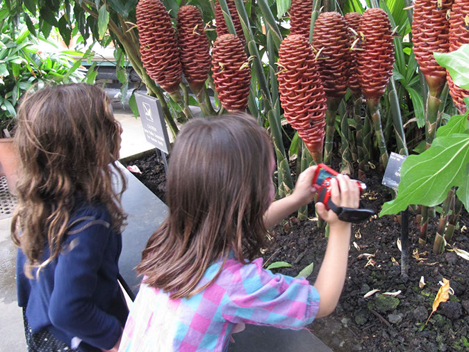 2013_jul_kew_myla56