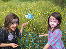 2013_jul_kew_myla33