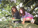 2013_jul_kew_myla46