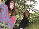 2013_jul_kew_myla51