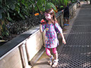 2013_jul_kew_myla55