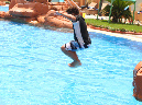 2015_jun_third_grade_pool_party33