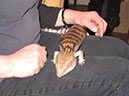 2012_mar_lila_4th_092