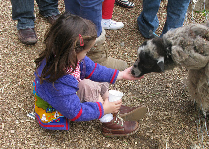 deen_farm_46