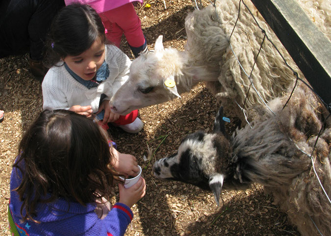 deen_farm_47