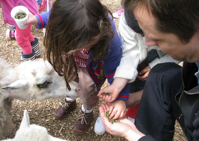 deen_farm_48